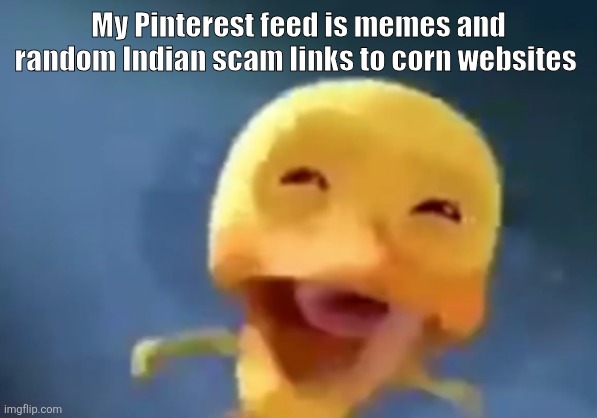 crying duck | My Pinterest feed is memes and random Indian scam links to corn websites | image tagged in crying duck | made w/ Imgflip meme maker