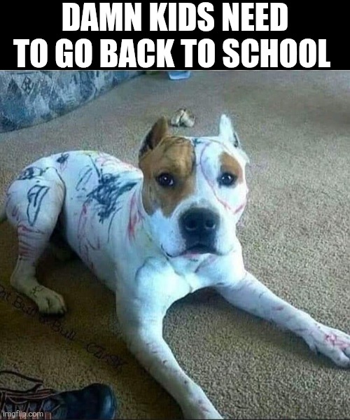 Damn Kids Need To Go Back To School | DAMN KIDS NEED TO GO BACK TO SCHOOL | image tagged in chrisjoines1 | made w/ Imgflip meme maker