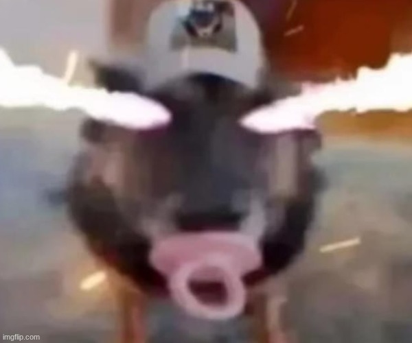 cock | image tagged in sigma dawg sucking on da binky | made w/ Imgflip meme maker