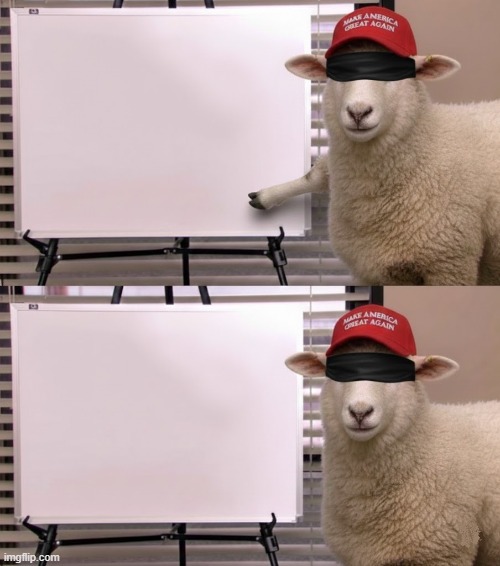 SHEEP HALPERT EXPLAINS | image tagged in blind explain,jim halpert explains,trying to explain,me explaining to my mom,maga,trump | made w/ Imgflip meme maker
