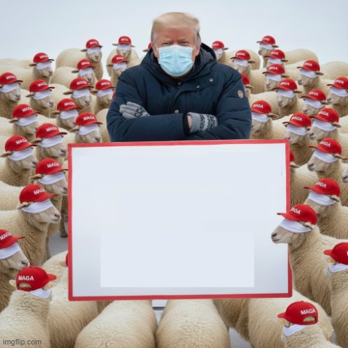 BERNIE TRUMP | image tagged in bernie trump,bernie i am once again asking for your support,trump,maga,bernie sanders once again asking,bernie sanders | made w/ Imgflip meme maker