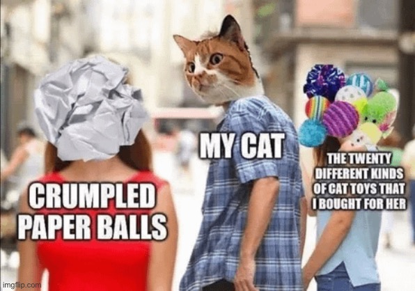 This looks about right | image tagged in cats,funny cats,right,toys,scumbags,hilarious memes | made w/ Imgflip meme maker