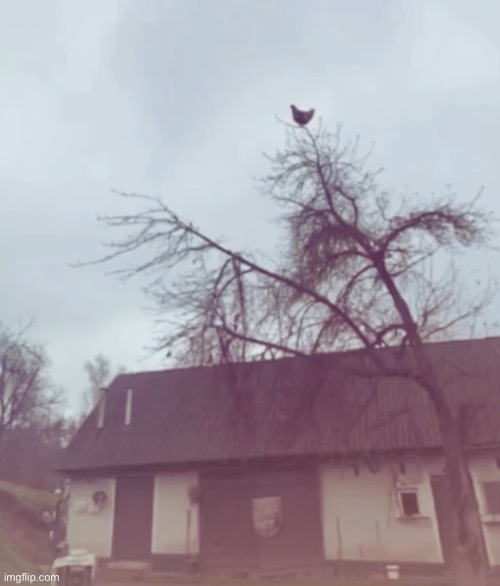 if you know you know | made w/ Imgflip meme maker