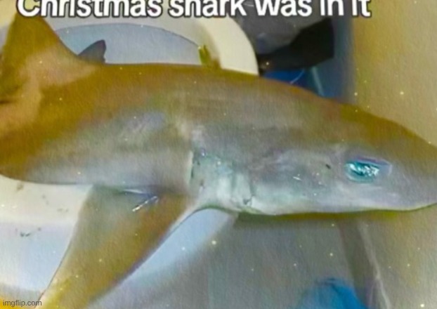 skibidi zap | made w/ Imgflip meme maker