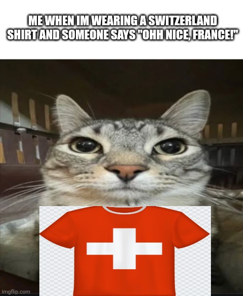 really? | ME WHEN IM WEARING A SWITZERLAND SHIRT AND SOMEONE SAYS "OHH NICE, FRANCE!" | image tagged in zazu staring | made w/ Imgflip meme maker