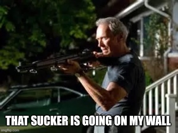 Gran torino rifle | THAT SUCKER IS GOING ON MY WALL | image tagged in gran torino rifle | made w/ Imgflip meme maker