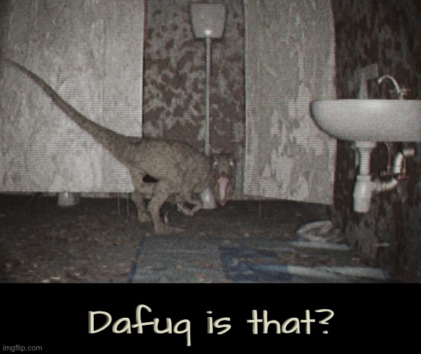 Dafuq Is That? | Dafuq is that? | image tagged in cursed images,dafuq,unexplained,you can't explain that,what a terrible day to have eyes,time to die | made w/ Imgflip meme maker