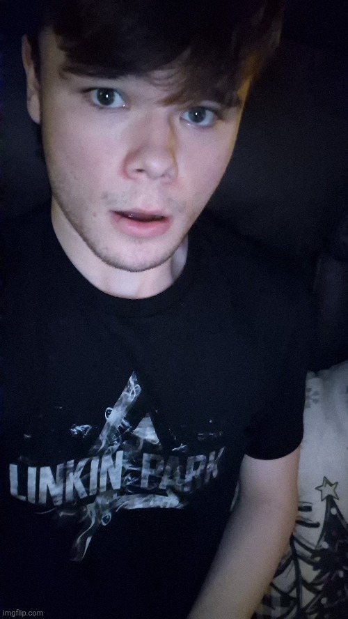 copped a linkin park tshirt for christmas | made w/ Imgflip meme maker