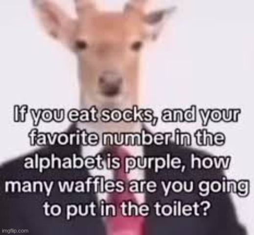 If you eat socks | image tagged in if you eat socks | made w/ Imgflip meme maker