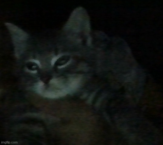 jumpscare | made w/ Imgflip meme maker