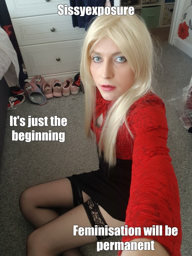 Sissy Blank Meme Template