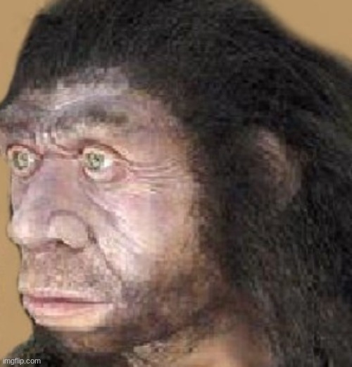 Neanderthal head | image tagged in neanderthal head | made w/ Imgflip meme maker