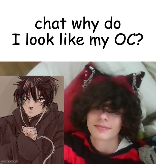 I lwky see it | chat why do I look like my OC? | image tagged in pluh | made w/ Imgflip meme maker