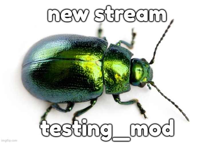 beetle | new stream; testing_mod | image tagged in beetle | made w/ Imgflip meme maker