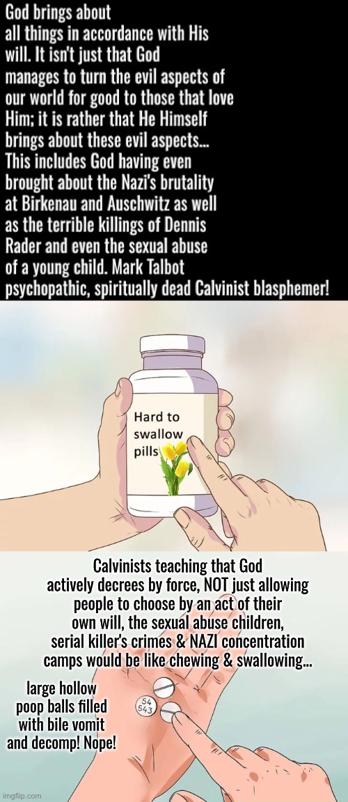 Mark Talbot is disgusting | Calvinists teaching that God actively decrees by force, NOT just allowing people to choose by an act of their own will, the sexual abuse children, serial killer's crimes & NAZI concentration camps would be like chewing & swallowing... large hollow poop balls filled with bile vomit and decomp! Nope! | image tagged in hard to swallow pills,calvinism,calvinist memes,mark talbot,anti calvinism,reformed theology | made w/ Imgflip meme maker