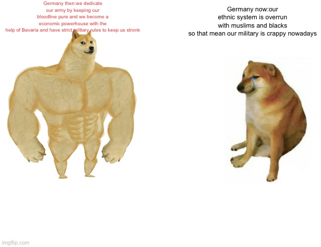 Buff Doge vs. Cheems Meme | Germany then:we dedicate our army by keeping our bloodline pure and we become a economic powerhouse with the help of Bavaria and have strict military rules to keep us stronk; Germany now:our ethnic system is overrun with muslims and blacks so that mean our military is crappy nowadays | image tagged in memes,buff doge vs cheems | made w/ Imgflip meme maker