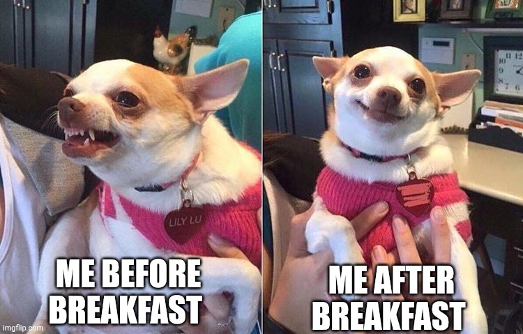 angry dog meme | ME BEFORE BREAKFAST; ME AFTER BREAKFAST | image tagged in angry dog meme | made w/ Imgflip meme maker