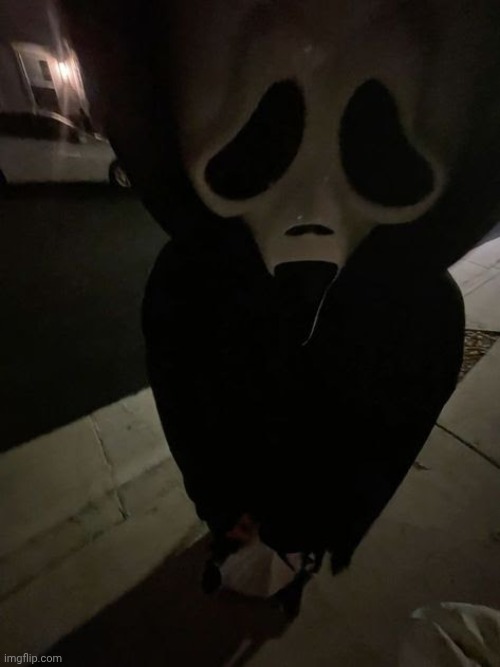 bleh ;3 | https://pin.it/1dIQv8Tey | image tagged in bleh 3 | made w/ Imgflip meme maker