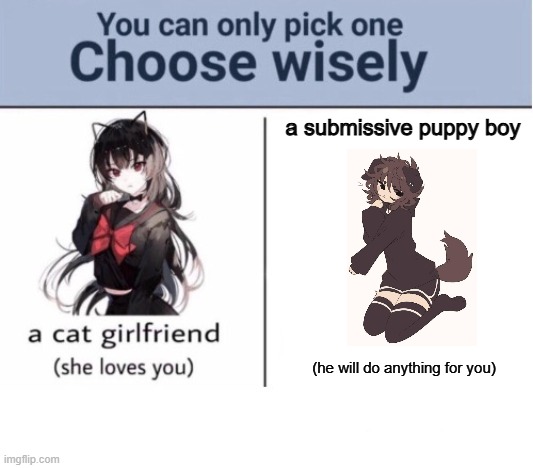 im a femboy enthusiast the choice is clear muhahahaha | a submissive puppy boy; (he will do anything for you) | image tagged in choose wisely | made w/ Imgflip meme maker