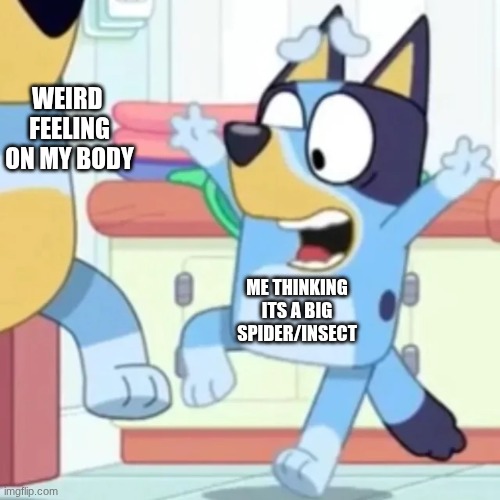WEIRD 
FEELING ON MY BODY; ME THINKING ITS A BIG SPIDER/INSECT | image tagged in memes,funny,relatable,meme,dog | made w/ Imgflip meme maker
