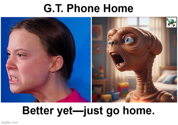 What are your thoughts on Greta Thunberg agreeing to be deported from Israel along with two other activists and a journalist? | made w/ Imgflip meme maker