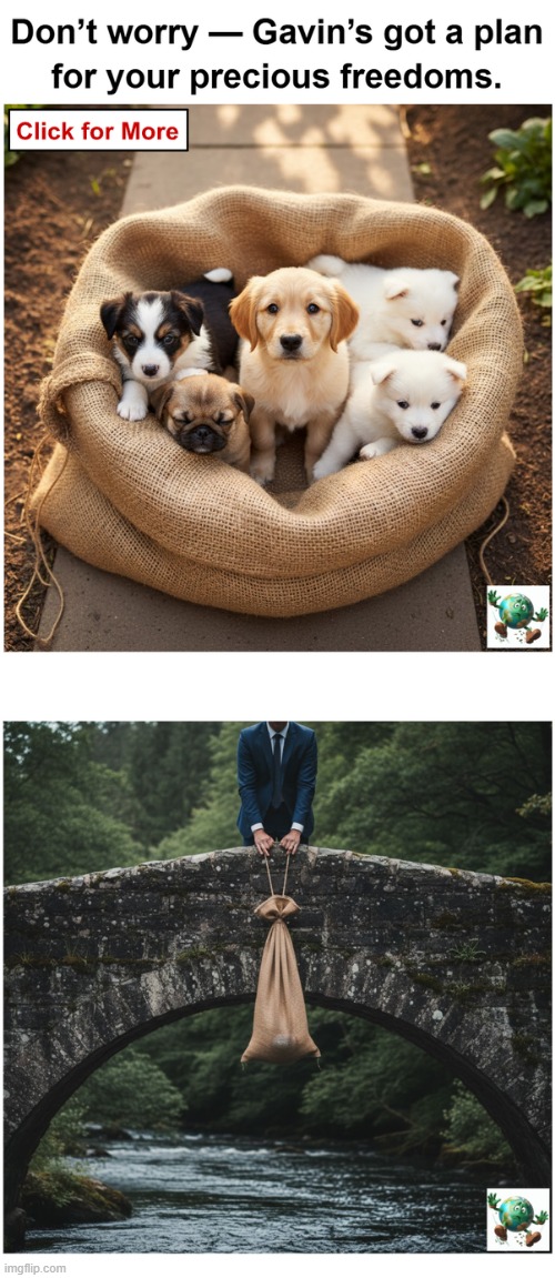 What would you tell someone that’s concerned about Gavin Newsom being president? | made w/ Imgflip meme maker