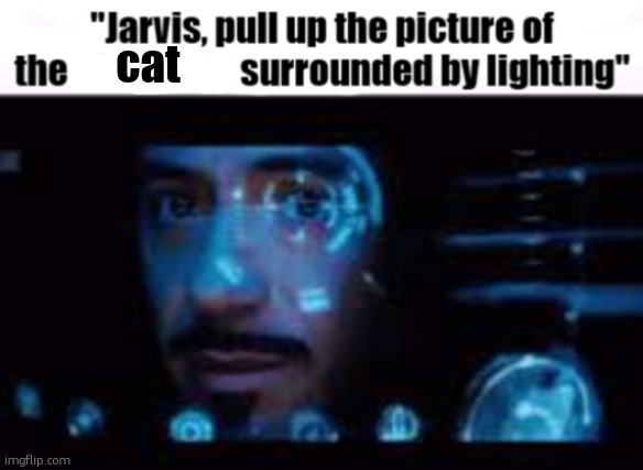 Jarvis pull up the picture of LowTierGod | cat | image tagged in jarvis pull up the picture of lowtiergod | made w/ Imgflip meme maker