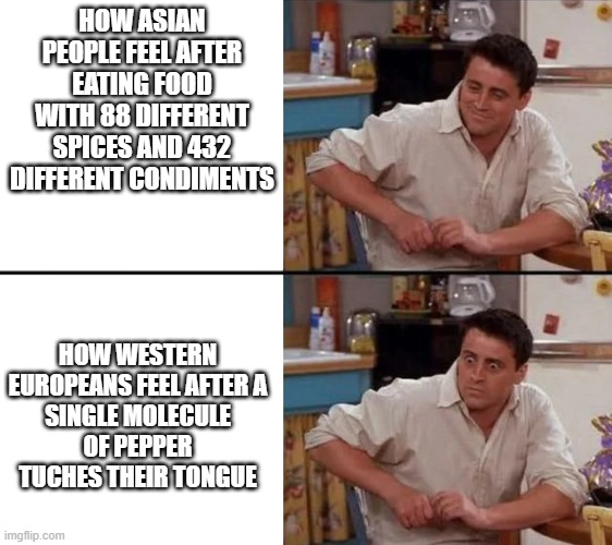 Surprised Joey | HOW ASIAN
PEOPLE FEEL AFTER EATING FOOD
WITH 88 DIFFERENT SPICES AND 432
DIFFERENT CONDIMENTS; HOW WESTERN
EUROPEANS FEEL AFTER A
SINGLE MOLECULE
OF PEPPER
TUCHES THEIR TONGUE | image tagged in surprised joey | made w/ Imgflip meme maker
