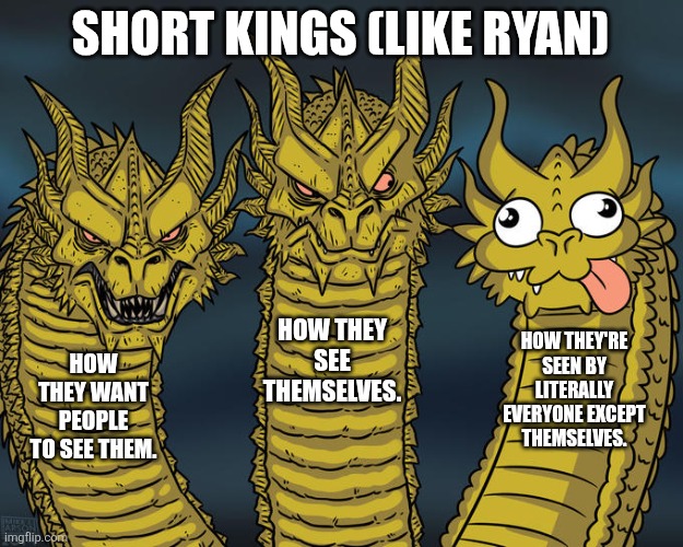 Short kings | SHORT KINGS (LIKE RYAN); HOW THEY SEE THEMSELVES. HOW THEY'RE SEEN BY LITERALLY EVERYONE EXCEPT THEMSELVES. HOW THEY WANT PEOPLE TO SEE THEM. | image tagged in three-headed dragon | made w/ Imgflip meme maker