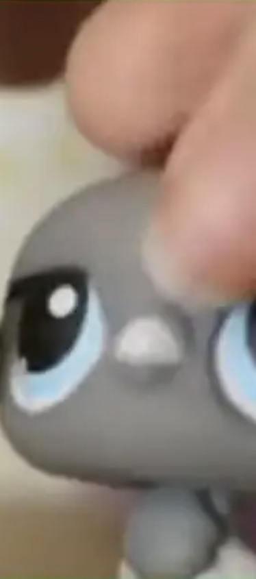 Perry Blank Meme Template