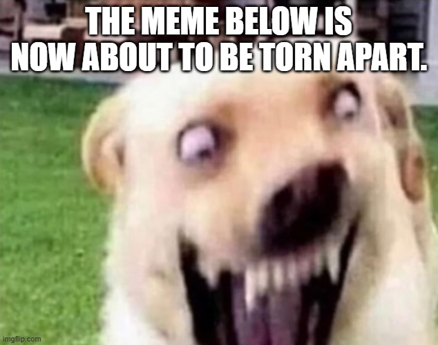 Angry dog | THE MEME BELOW IS NOW ABOUT TO BE TORN APART. | image tagged in angry dog | made w/ Imgflip meme maker