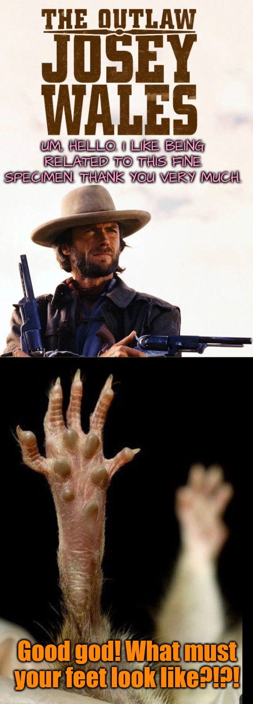 UM, HELLO. I LIKE BEING RELATED TO THIS FINE SPECIMEN. THANK YOU VERY MUCH. Good god! What must your feet look like?!?! | made w/ Imgflip meme maker