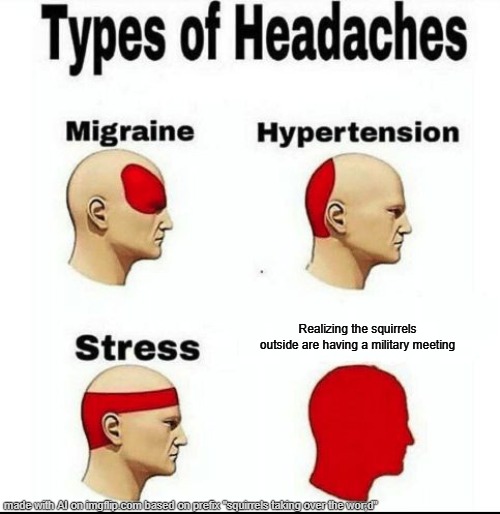 Types of Headaches meme | Realizing the squirrels outside are having a military meeting | image tagged in types of headaches meme | made w/ Imgflip meme maker