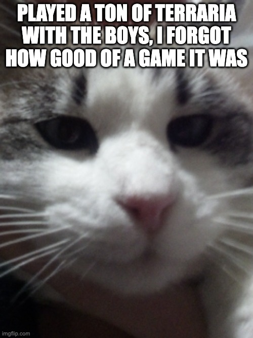 Sour Hart announcement template | PLAYED A TON OF TERRARIA WITH THE BOYS, I FORGOT HOW GOOD OF A GAME IT WAS | image tagged in sour hart announcement template | made w/ Imgflip meme maker