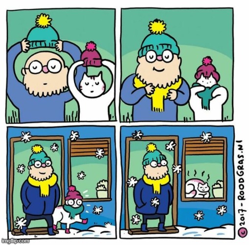 image tagged in winter,hat,scarf,snow,cat,cold | made w/ Imgflip meme maker