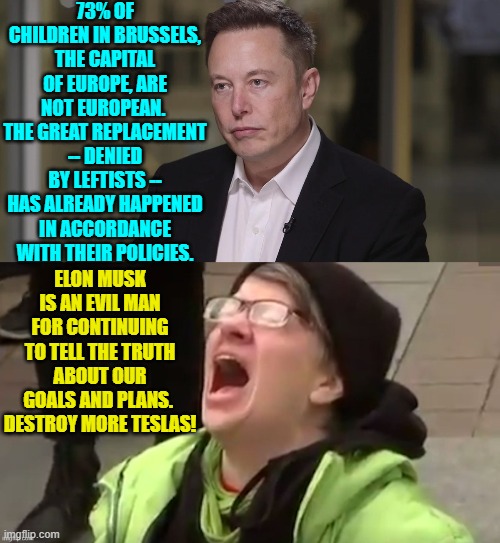 Yes, in some parts of Europe it's already a 'done deal'. | 73% OF CHILDREN IN BRUSSELS, THE CAPITAL OF EUROPE, ARE NOT EUROPEAN.  THE GREAT REPLACEMENT -- DENIED BY LEFTISTS -- HAS ALREADY HAPPENED IN ACCORDANCE WITH THEIR POLICIES. ELON MUSK IS AN EVIL MAN FOR CONTINUING TO TELL THE TRUTH ABOUT OUR GOALS AND PLANS.  DESTROY MORE TESLAS! | image tagged in yep | made w/ Imgflip meme maker