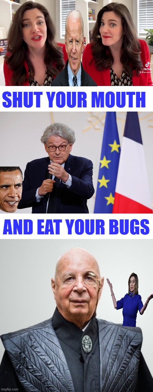 Socialist Nazi's | SHUT YOUR MOUTH; AND EAT YOUR BUGS | image tagged in klaus schwab | made w/ Imgflip meme maker