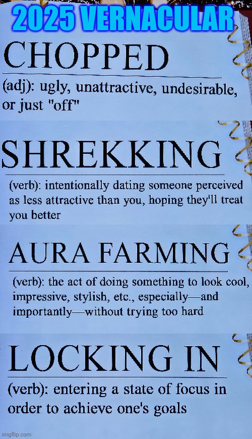 2025 vernacular | 2025 VERNACULAR | image tagged in language,2025,english,communication,speech,funny | made w/ Imgflip meme maker