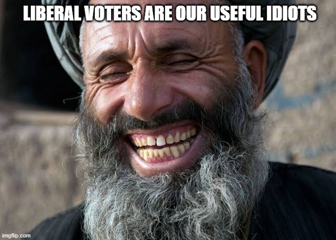 useful idiots | LIBERAL VOTERS ARE OUR USEFUL IDIOTS | image tagged in democrats,liberals,politics,democratic party | made w/ Imgflip meme maker
