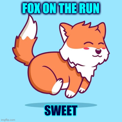 Only The Kool Kids Will Understand | FOX ON THE RUN; SWEET | image tagged in memes,sweet,fox on the run,music meme,music,cool kids | made w/ Imgflip meme maker