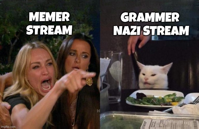 MEMER
STREAM GRAMMER 
NAZI STREAM | image tagged in smudge and taylor full screen | made w/ Imgflip meme maker