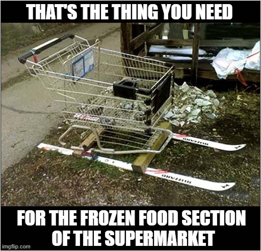 It's Always So Cold In Those Aisles ! | THAT'S THE THING YOU NEED; FOR THE FROZEN FOOD SECTION
 OF THE SUPERMARKET | image tagged in supermarket,frozen,food,skiing | made w/ Imgflip meme maker