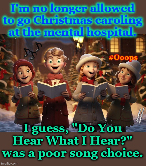 Do you hear what I hear? | I'm no longer allowed to go Christmas caroling at the mental hospital. #Ooops; I guess, "Do You Hear What I Hear?" was a poor song choice. @SongOfGrace  @OneJoyfulNoise | image tagged in no more caroling | made w/ Imgflip meme maker