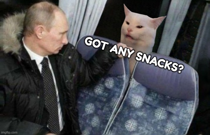 Putin | GOT ANY SNACKS? | image tagged in putin,vladimir putin,smudge the cat,snacks | made w/ Imgflip meme maker