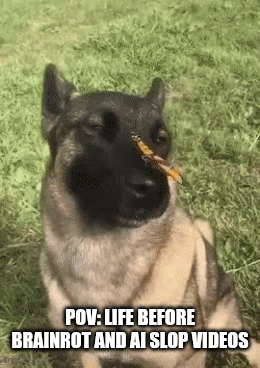 Who else agrees | POV: LIFE BEFORE BRAINROT AND AI SLOP VIDEOS | image tagged in gifs,the good old days | made w/ Imgflip video-to-gif maker