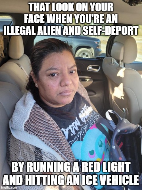 Bummer deal | THAT LOOK ON YOUR FACE WHEN YOU'RE AN ILLEGAL ALIEN AND SELF-DEPORT; BY RUNNING A RED LIGHT AND HITTING AN ICE VEHICLE | image tagged in politics,immigration | made w/ Imgflip meme maker
