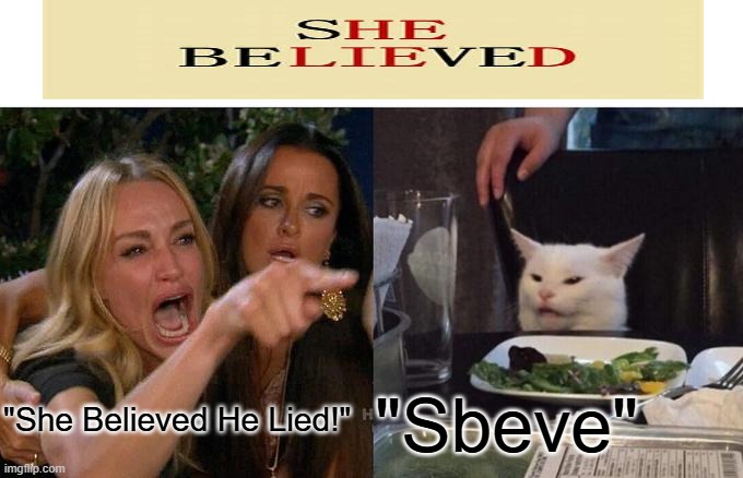 "Sbeve" | "She Believed He Lied!"; "Sbeve" | image tagged in memes,woman yelling at cat | made w/ Imgflip meme maker
