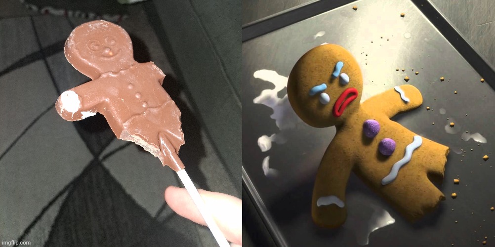 I accidentally ate the arm first so its less accurate, but run run as fast as you run | image tagged in monster shrek ginger bread man | made w/ Imgflip meme maker