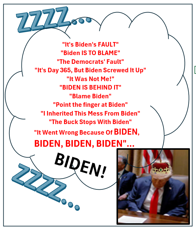 High Quality Biden's Fault Blank Meme Template