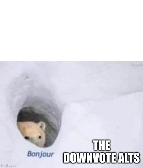 Bonjour | THE DOWNVOTE ALTS | image tagged in bonjour | made w/ Imgflip meme maker